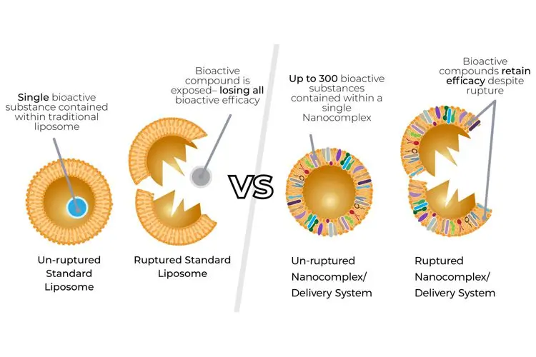 Traditional liposomal delivery system vs. Nanocomplex and NuCell Direct™ delivery system