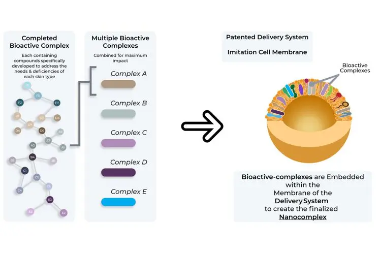 Formation of nanocomplexes through numerous biocomplexes.